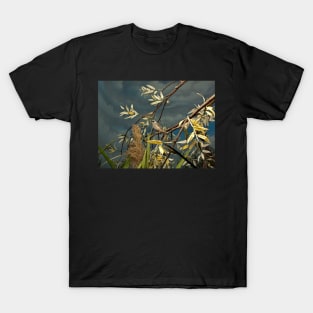 Natural environment diorama - A bird resting on a branch T-Shirt